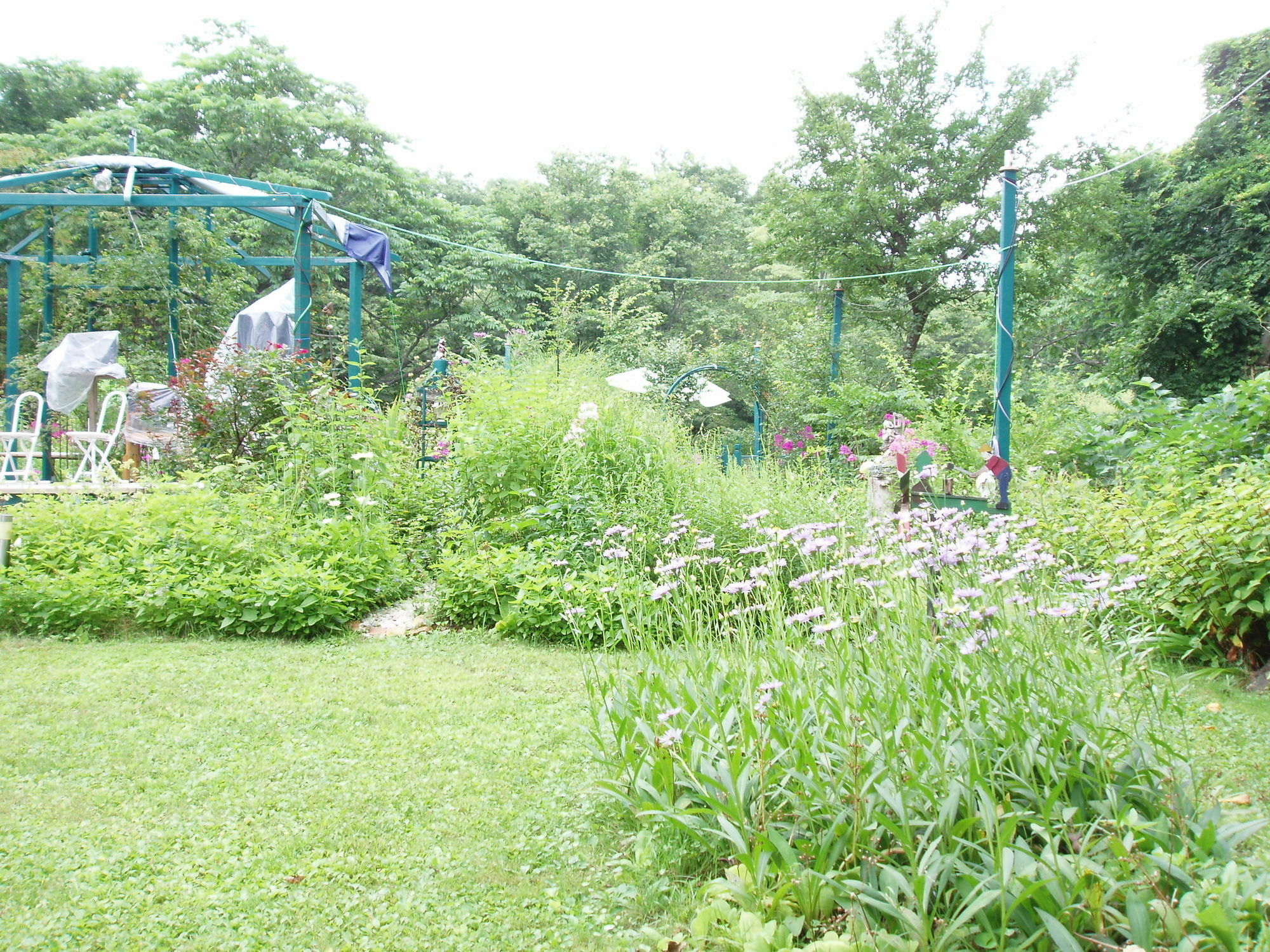מיוקו Country Inn Canadian House מראה חיצוני תמונה
